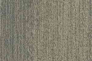 Ковровая плитка Interface Touch of Timber 4191004 Elm фото  | FLOORDEALER